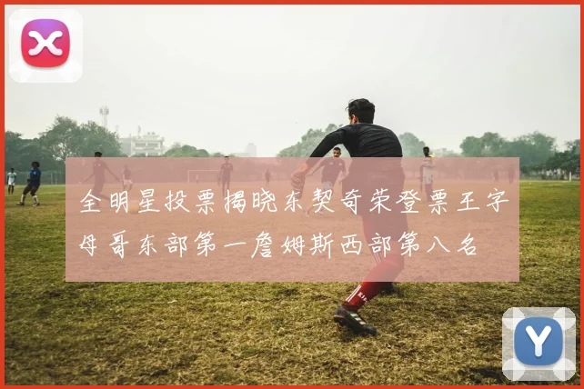 全明星投票揭晓东契奇荣登票王字母哥东部第一詹姆斯西部第八名